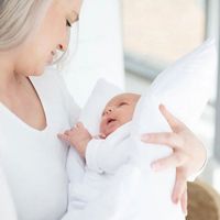 NurtureOne™ Nesting Cushion No.2